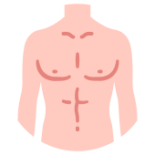 Abdomen