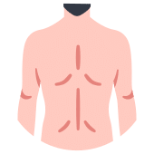 Back